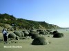 Moeraki Boulders

Trip: New Zealand
Entry: Alpine Heartland
Date Taken: 19 Mar/03
Country: New Zealand
Viewed: 2139 times
Rated: 9.0/10 by 2 people